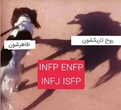 mbti ISFP INFP ENFP INFJ