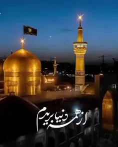 امیدم یا رؤف آل محمد(ص) بدرگاهت پناه آورده ام