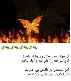 سعدی