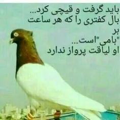 بله