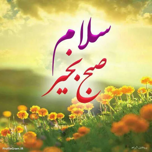 سلام به آنها که ارزش سلام را میدانند . سسسلاممممممم