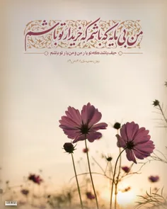 من بی‌مایه که باشم 