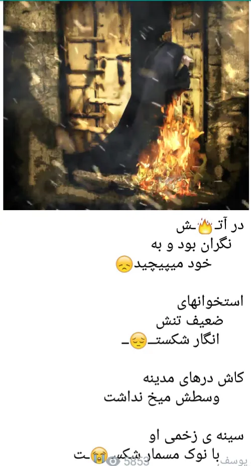 شهادت بانوی دو عالم حضرت فاطمه زهرا(س) بر عاشقان اهل بیت 