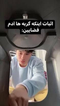 کون گربه بدبخت سر اون عن جر خورده بود 😂🙃