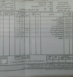 اینم کارنامه من :/ دیدم چند نفری کارنامه هاشونو میزارن من