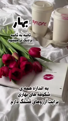 🌸هفت سین دلت را آنگونه بچین