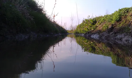 این هم ی عکس ک امروز خودم گرفتم