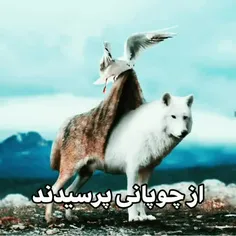 در مهربانی همچون باران باش که در ترنمش علف هرز و گل سرخ ی