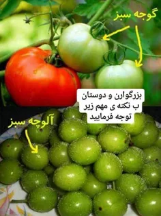 تا اموزش های بعدی خدا نگهدارتان 😏 😄