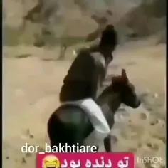 دنده اش خراب بود فکر کنم 😂😂