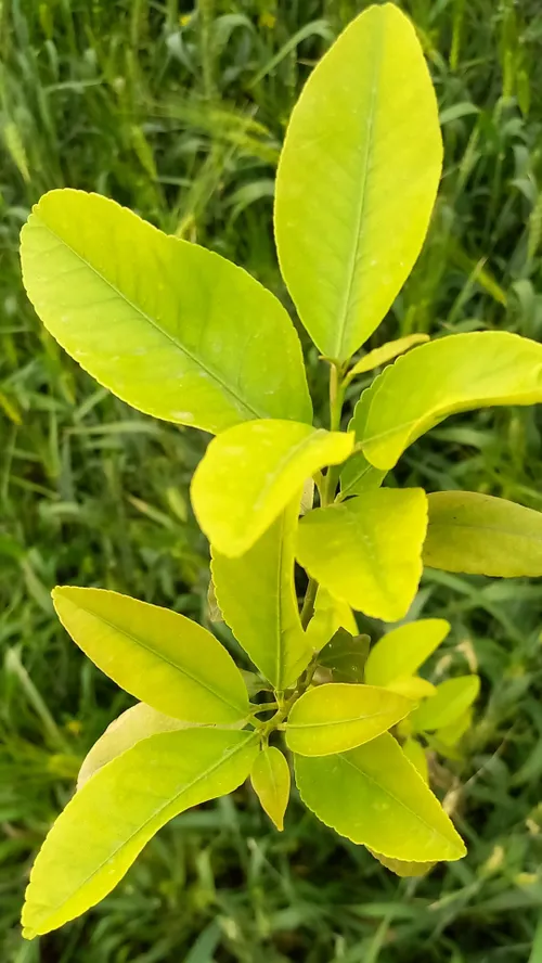 عکاسی خودم😍