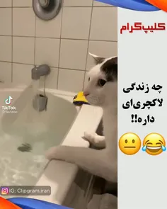 جان من نگا کن ... پدر مادر من انقدر به من نرسیدن 🤦‍♂️