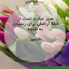 گوناگون mdsh1001 19199372