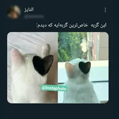 گورباااا