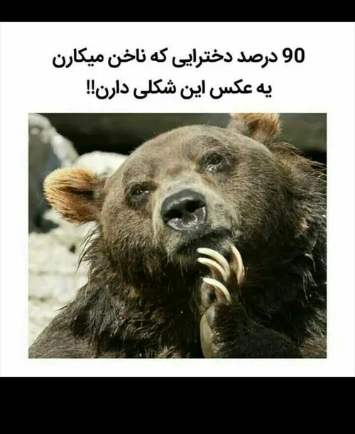 اقای چت