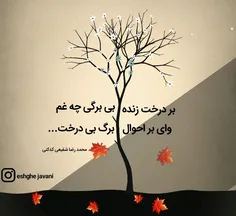 محمد رضا شفیعی کدکنی