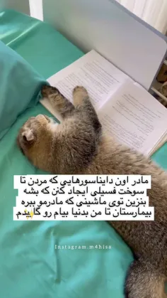 هعی مادر دایناسورارو ......😔👩‍🦯