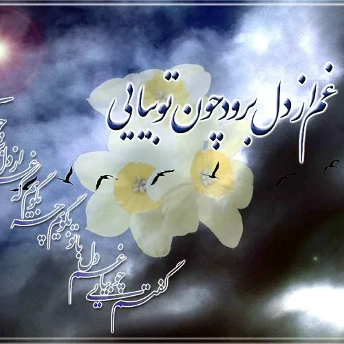 فریب ما مخور آقا دروغ می گوییـــــــــــــــم