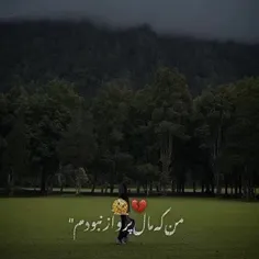 من‌ ک مال پرواز نبودم "