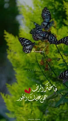 إياك وأن تخاف شيئا قبل حدوثه🤍🍂