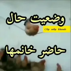 وضعیت حال حاضر خانما😁😂