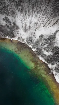 #Lake #Winter #Trees #Snow #والپیپر 