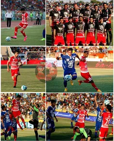 شیرمردان پرسپولیس