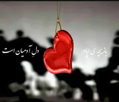 گر مرد رهی غم مخور از دوری و دیری/ دانی که رسیدن هنر گام 