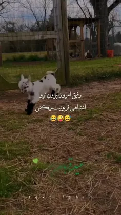 با تاخیر عید مبارک🌱🤍