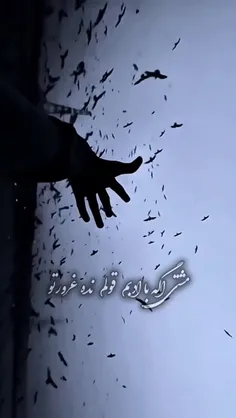 عجب مرگ زیبایی داره اینجوری خداحافظی.....!:*