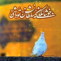 ❤️امام رضا جانم❤️