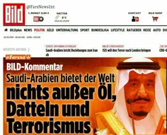 تیتر روزنامه بیلد آلمان؛ عربستان چیزی جز نفت، خرما و ترور