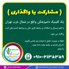 مشارکت یا واگذاری یک کلینیک دامپزشکی در تهران