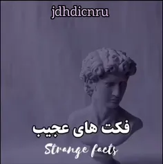 فالو و لایک از یاد نره 🚶‍♂️⚘