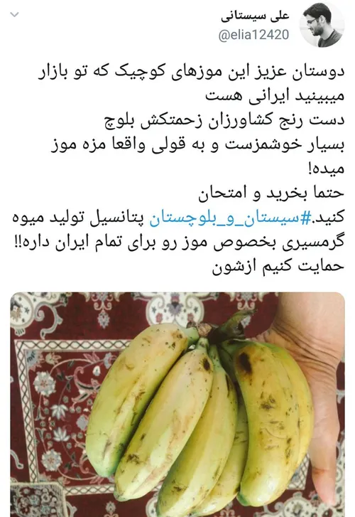 🍌 از این موزها بخریم