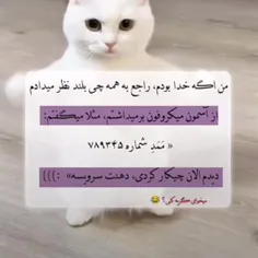 لایک و فالو کنید لطفابیاین تو پیجم کلی وایب خوب است 