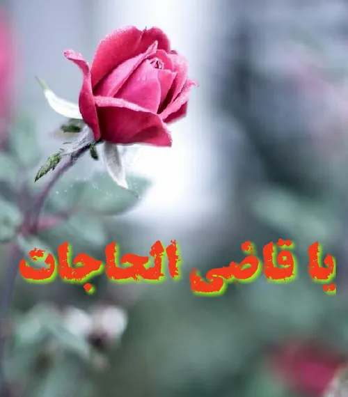 ذکر روز دوشنبه