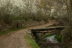 یکی از روستا های گیلان .