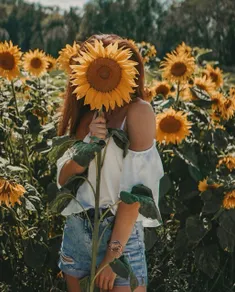 Be like a sunflower. 