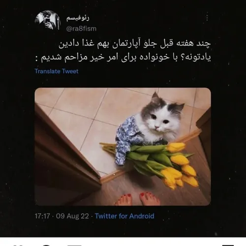 وای خدا😭😂