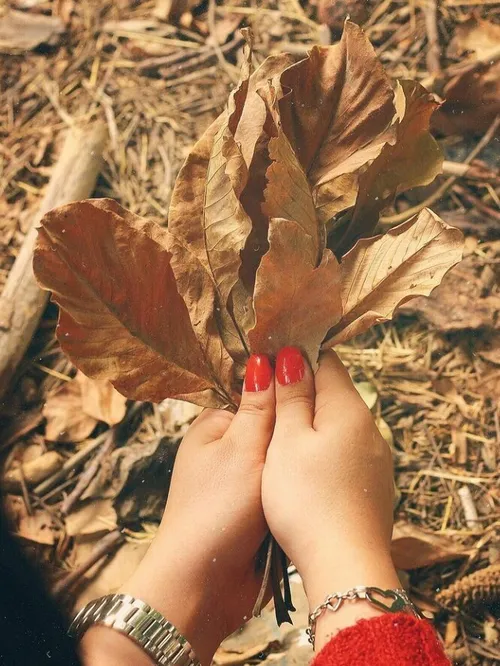 پاییز...!! 🍁🍂