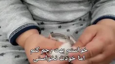 جوجه هه)