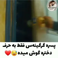 پسر گرگ نما 