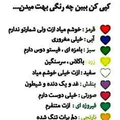 کدومو بم میدی؟/