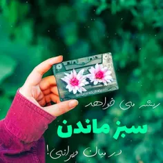 ریشه میخواهد؛سبز ماندن؛در میان ویرانی🌺🌱