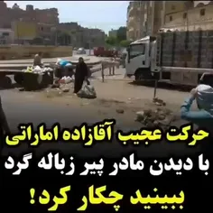 هنوز صد رحمت به شاهزاده های عرب، آقا زاده های ما که همش د