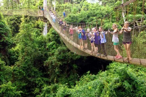 این پل خطرناک در اعماق جنگلهای غنا وجود داره.درحالیکه بیش