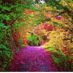 جاده ای دو نفره