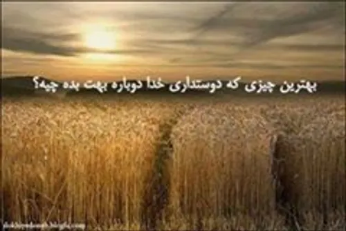 نازنین