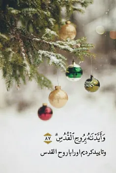 ولادت با سعادت حضرت  عیسی ابن مریم مبارک باد🌹🌹🌹🌹🌹🌹